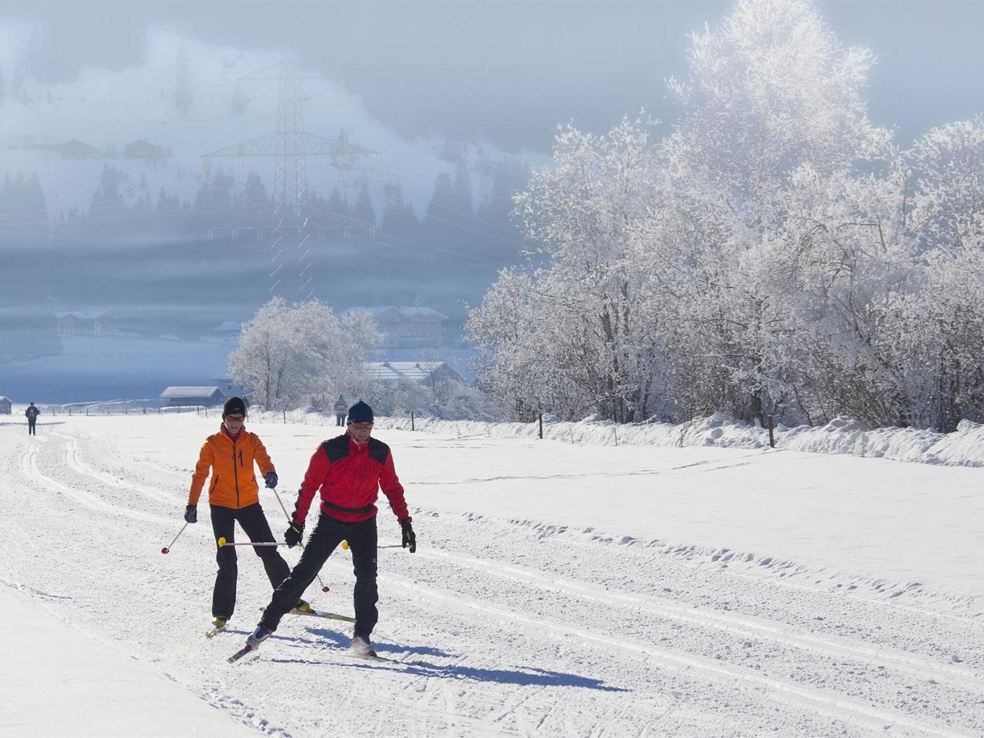 Holiday Home In Ski Area In Mittersill Eksteriør billede
